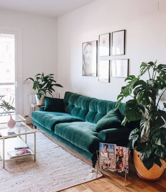 zelena sedacia suprava