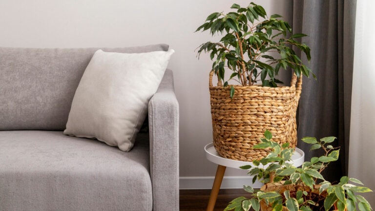 siva sedacka do obyvacky